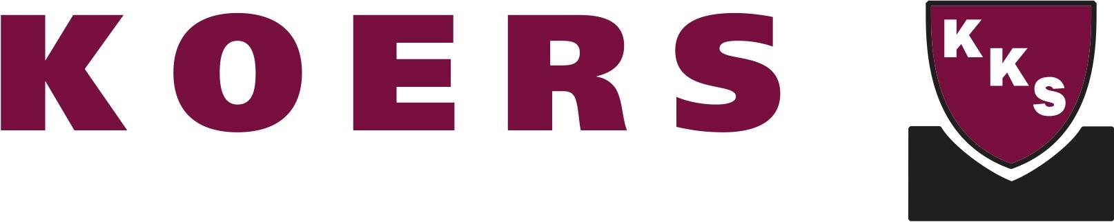 logo prograss